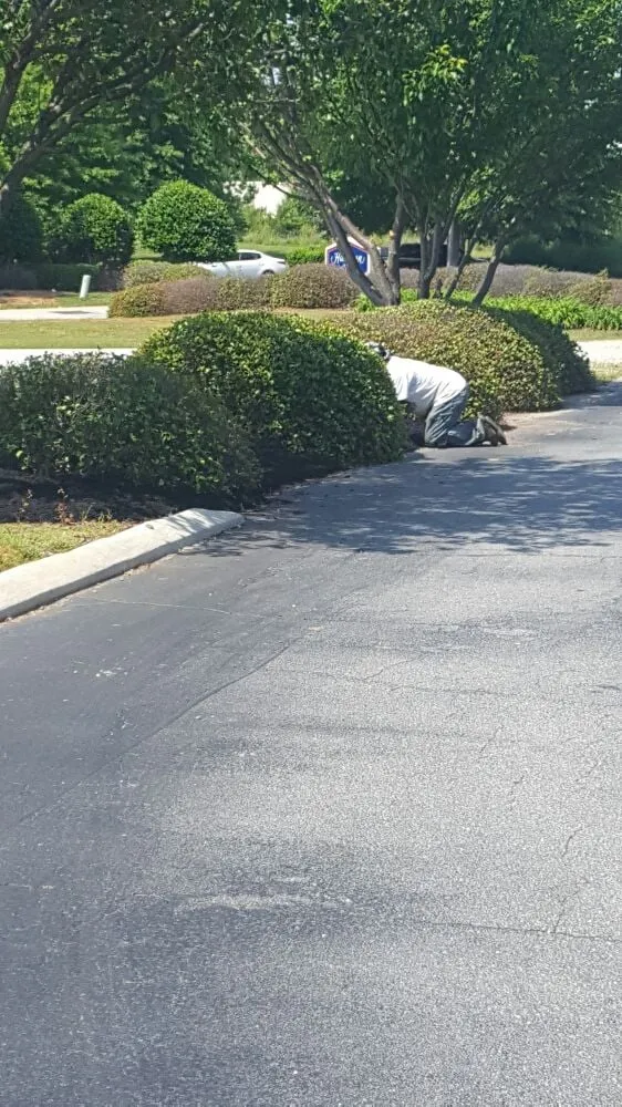 Affordable landscape installation with custom design in Greenville, SC by Tonny and Son's Landscaping