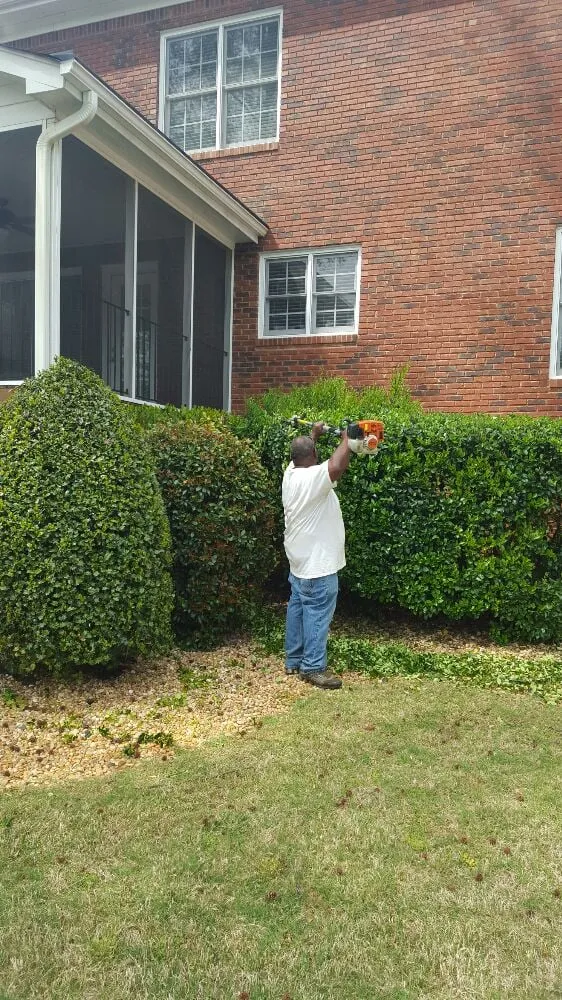 Affordable yard cleanup service for year-round maintenance in Greenville, SC by Tonny and Son's Landscaping
