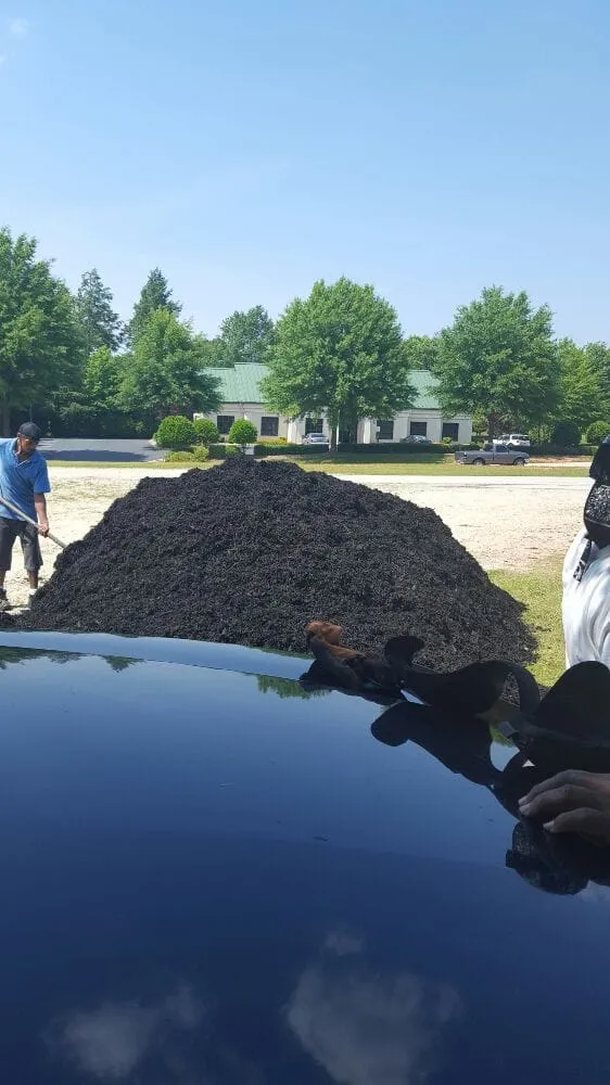 Expert residential landscaping for homes across Greenville, SC - Tonny and Son's Landscaping