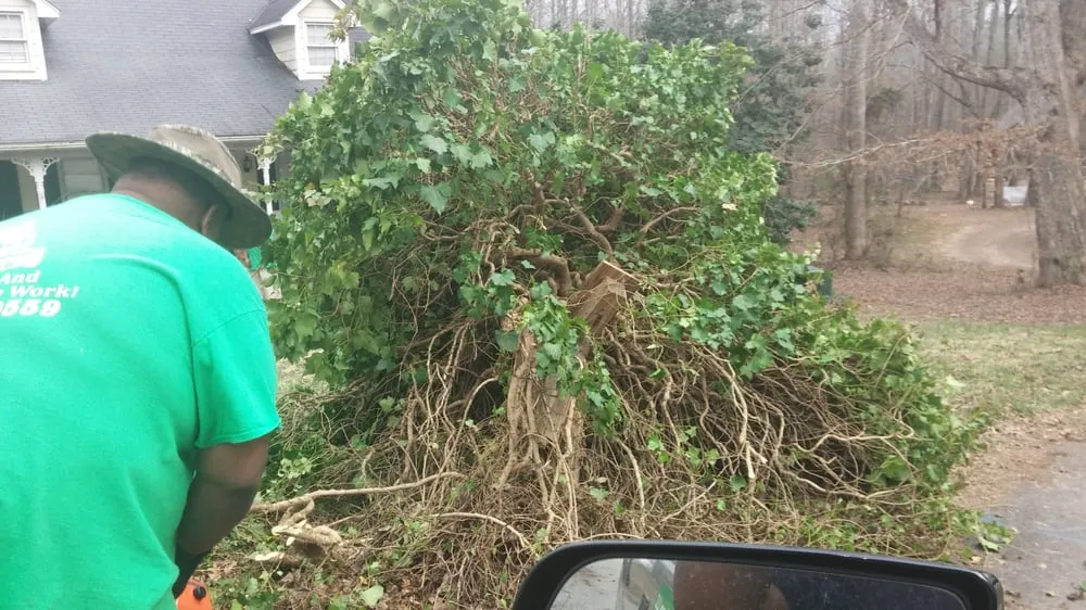 Custom landscaping services in Greenville, SC by Tonny and Son's Landscaping