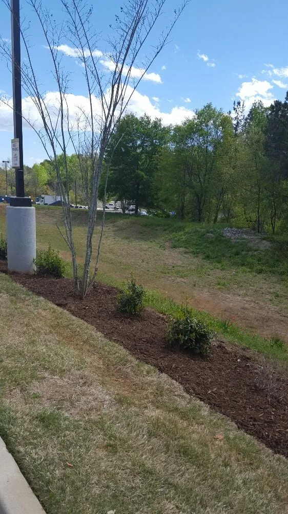 Top-rated yard maintenance experts serving Greenville, SC - Tonny and Son's Landscaping