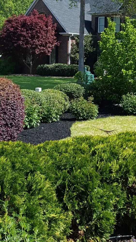 Expert landscaping services near you across Greenville, SC - Tonny and Son's Landscaping