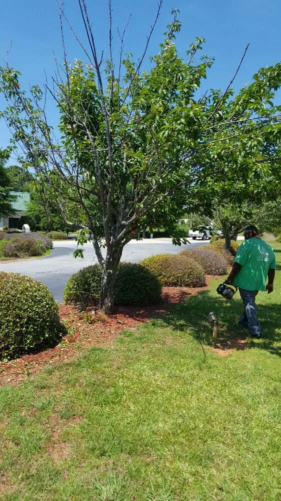 Custom residential landscaping with custom design in Greenville, SC by Tonny and Son's Landscaping