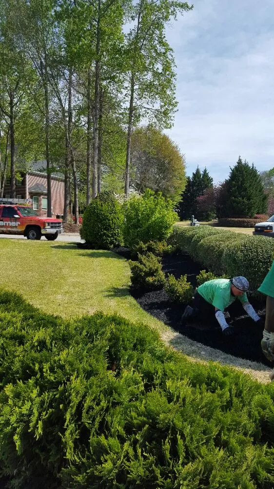 Top-rated yard cleanup service for beautiful yards across Greenville, SC - Tonny and Son's Landscaping