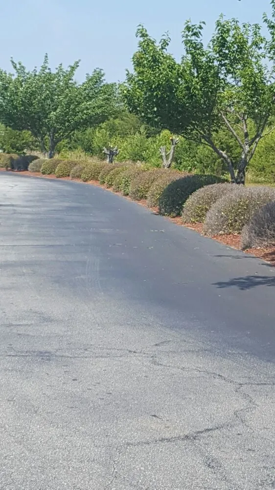 Trusted landscape installation experts serving Greenville, SC - Tonny and Son's Landscaping