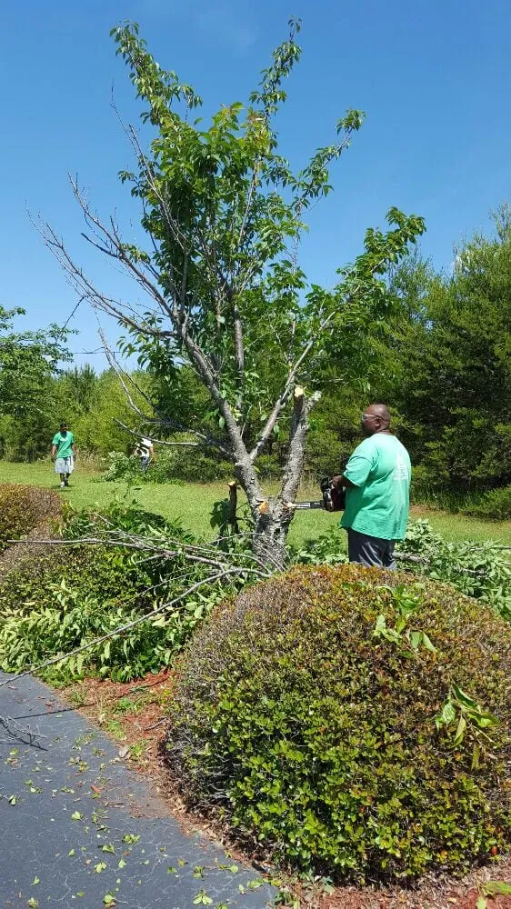 Professional lawn mowing service for homes across Greenville, SC - Tonny and Son's Landscaping