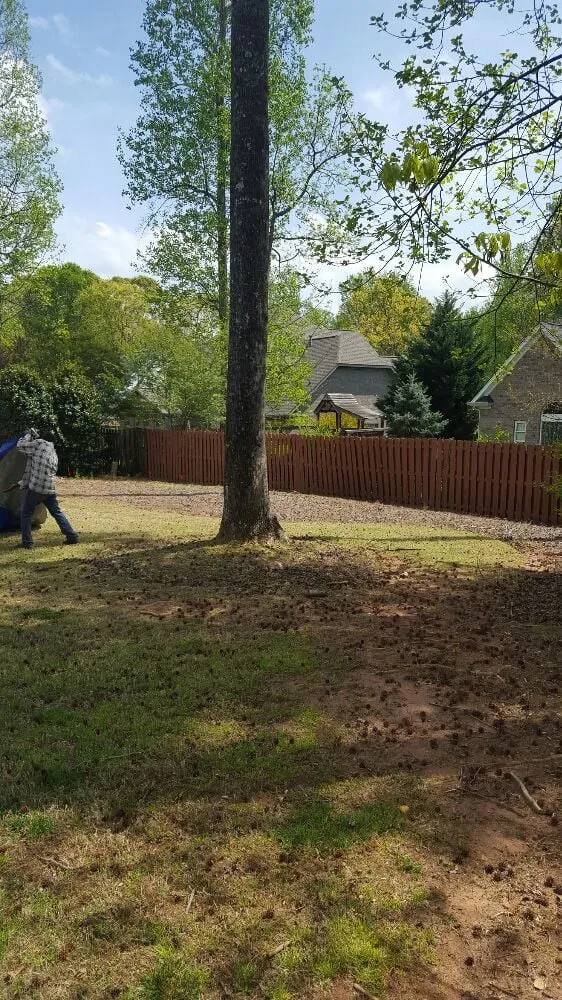Local yard maintenance experts serving Greenville, SC - Tonny and Son's Landscaping