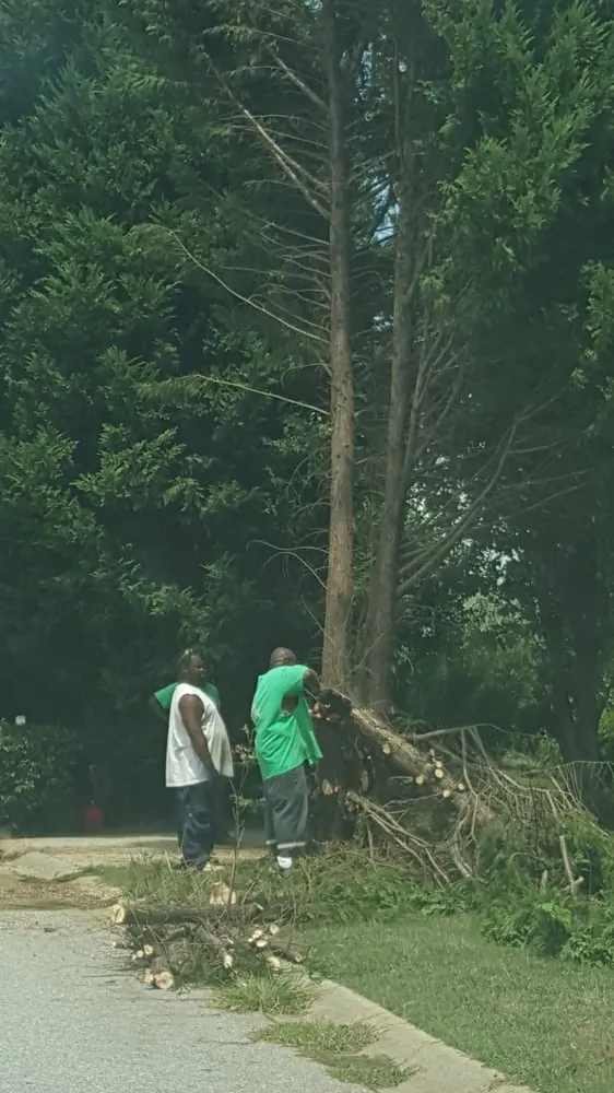 Custom lawn mowing service experts serving Greenville, SC - Tonny and Son's Landscaping