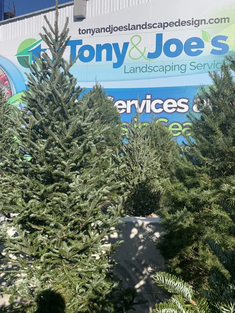 Top-rated garden landscaping in Reading, PA - Tony & Joe's Landscaping Services