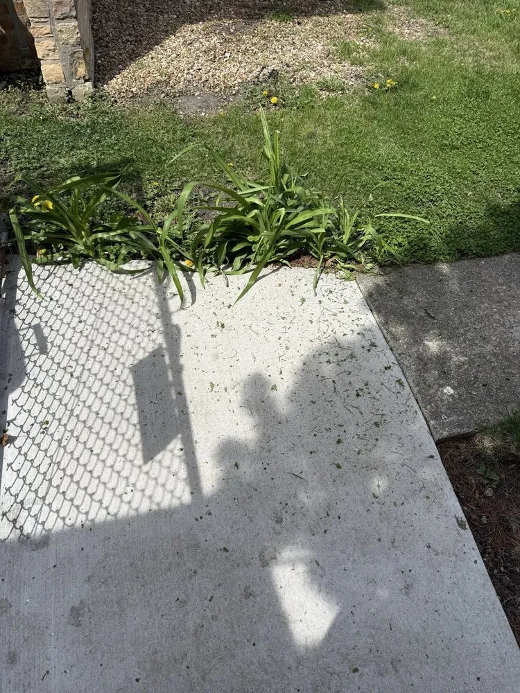 Expert outdoor landscaping in Harwood Heights, IL by Tony & Son Landscaping