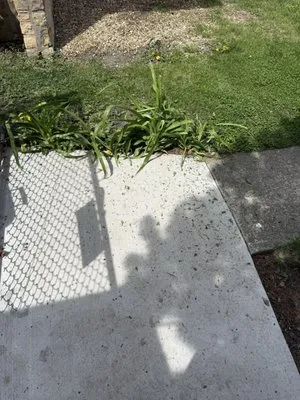 Tony & Son Landscaping