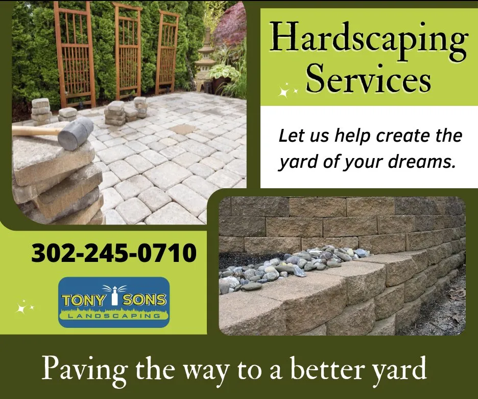 Professional landscape installation for outdoor upgrades in Millsboro, DE by Tony & Sons Landscaping