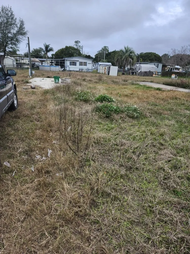 Local landscape design in Lady Lake, FL by Tony Adams Lawn Services and Pressure Washing