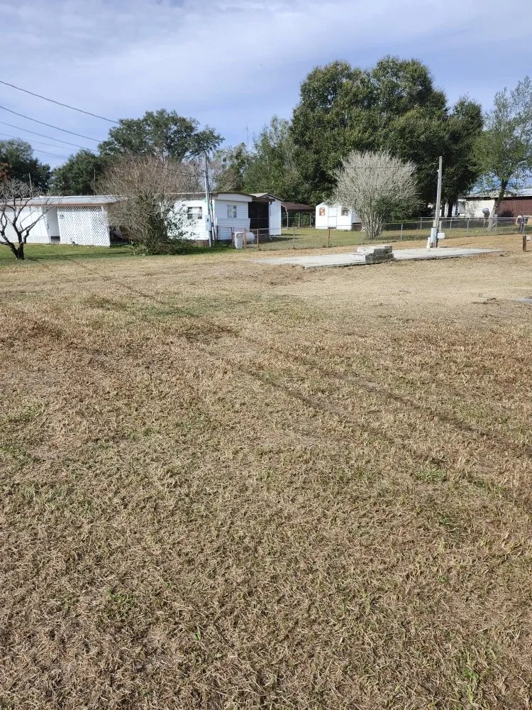 Custom lawn care service in Lady Lake, FL by Tony Adams Lawn Services and Pressure Washing