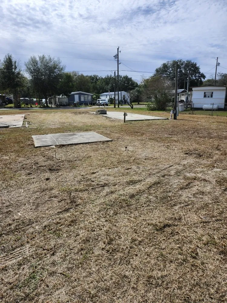 Local landscaping services for outdoor upgrades in Lady Lake, FL by Tony Adams Lawn Services and Pressure Washing