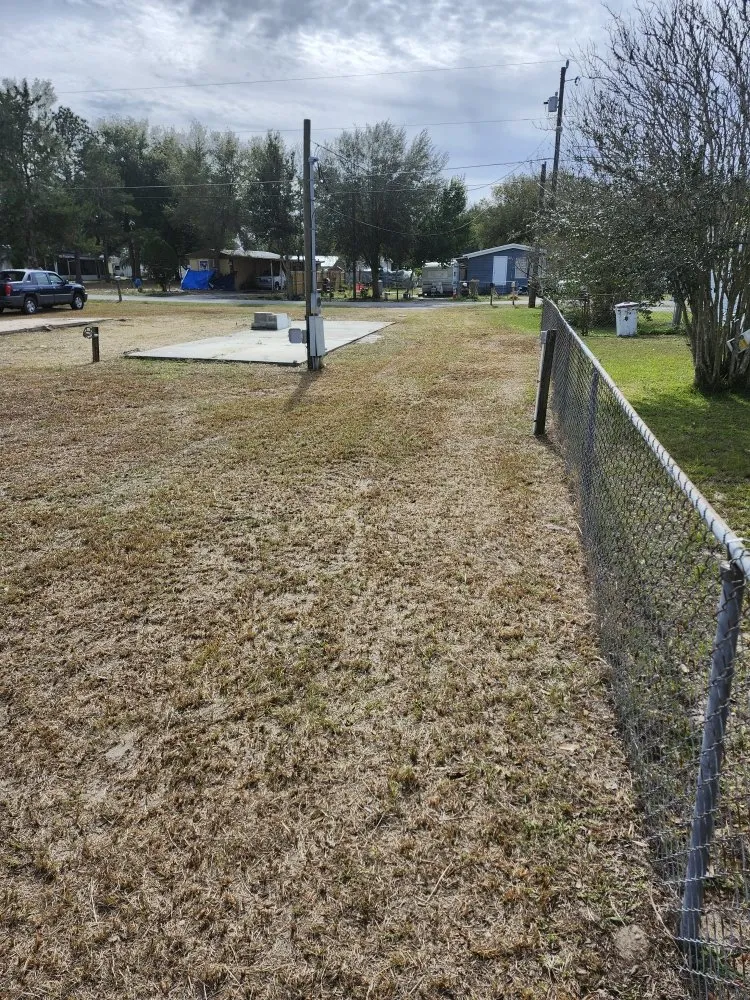 Local outdoor landscaping in Lady Lake, FL - Tony Adams Lawn Services and Pressure Washing