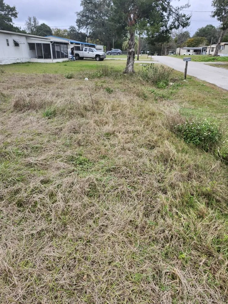 Local yard maintenance in Lady Lake, FL by Tony Adams Lawn Services and Pressure Washing