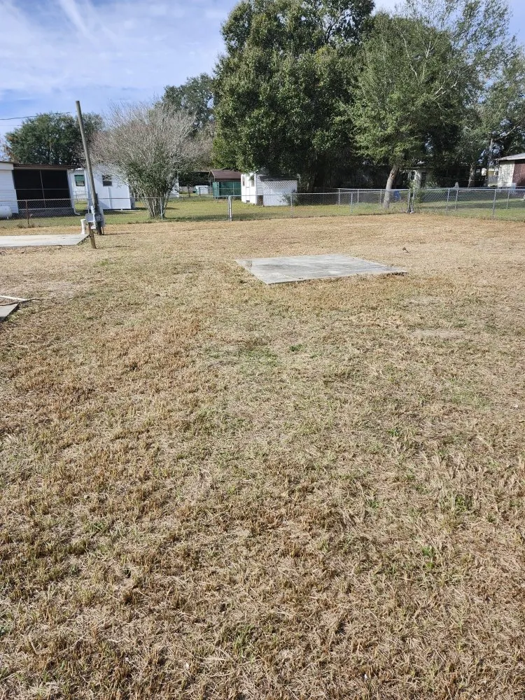 Professional lawn care service in Lady Lake, FL by Tony Adams Lawn Services and Pressure Washing