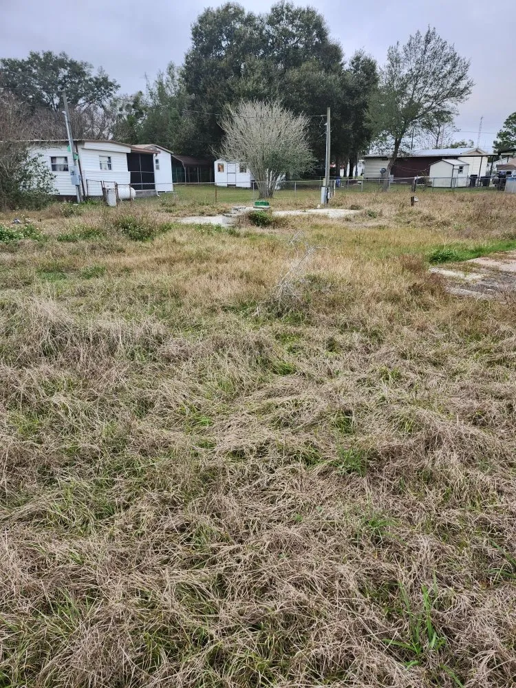 Local residential landscaping experts serving Lady Lake, FL - Tony Adams Lawn Services and Pressure Washing