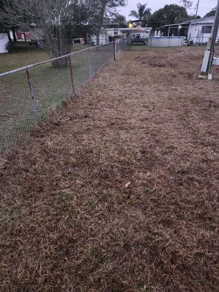 Reliable lawn care service experts serving Lady Lake, FL - Tony Adams Lawn Services and Pressure Washing