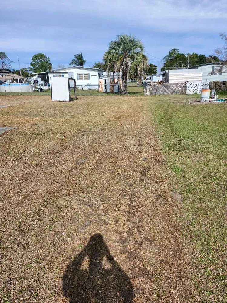 Reliable landscape installation experts serving Lady Lake, FL - Tony Adams Lawn Services and Pressure Washing