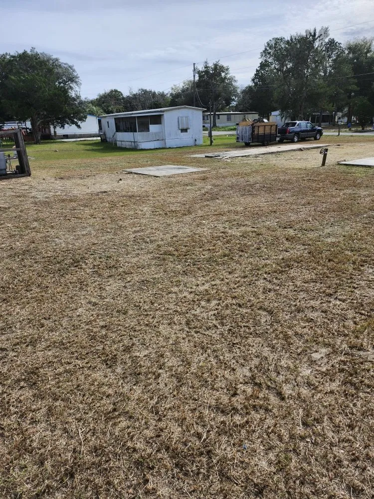 Professional landscape installation for homes across Lady Lake, FL - Tony Adams Lawn Services and Pressure Washing