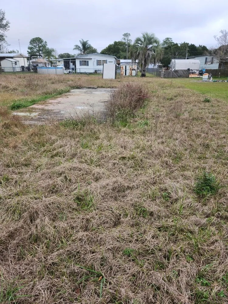 Top-rated yard cleanup service in Lady Lake, FL - Tony Adams Lawn Services and Pressure Washing