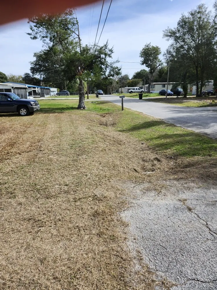 Reliable landscaping services for beautiful yards in Lady Lake, FL by Tony Adams Lawn Services and Pressure Washing