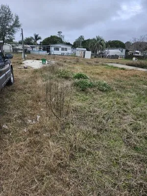 Tony Adams Lawn Services and Pressure Washing Logo