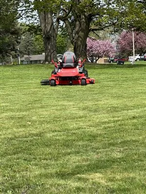 Tony Allen's Lawncare Service Logo