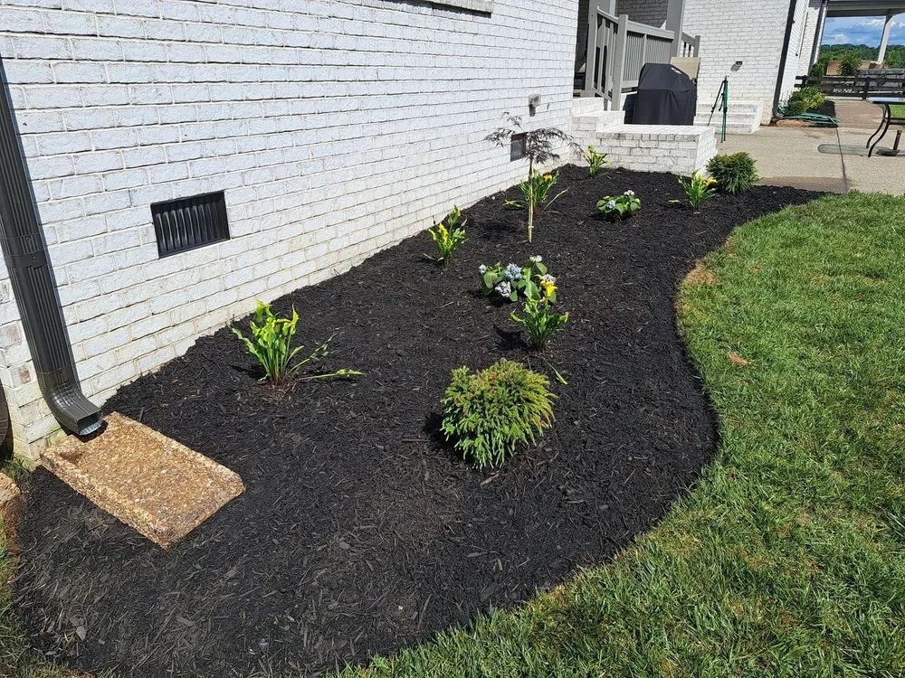 Reliable landscape design in Murfreesboro, TN by Tony and Son's Landscaping