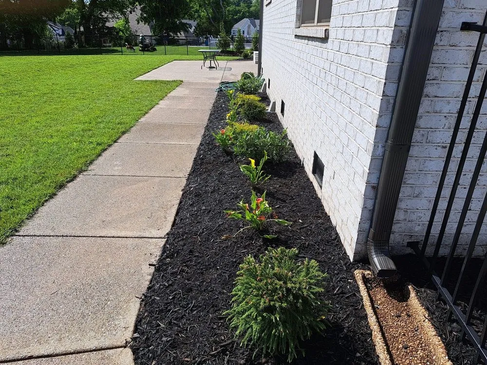 Professional outdoor landscaping in Murfreesboro, TN by Tony and Son's Landscaping