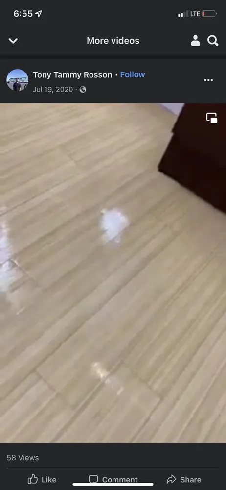 Professional residential landscaping in Abita Springs, LA by Tony And Tammys cleaning service