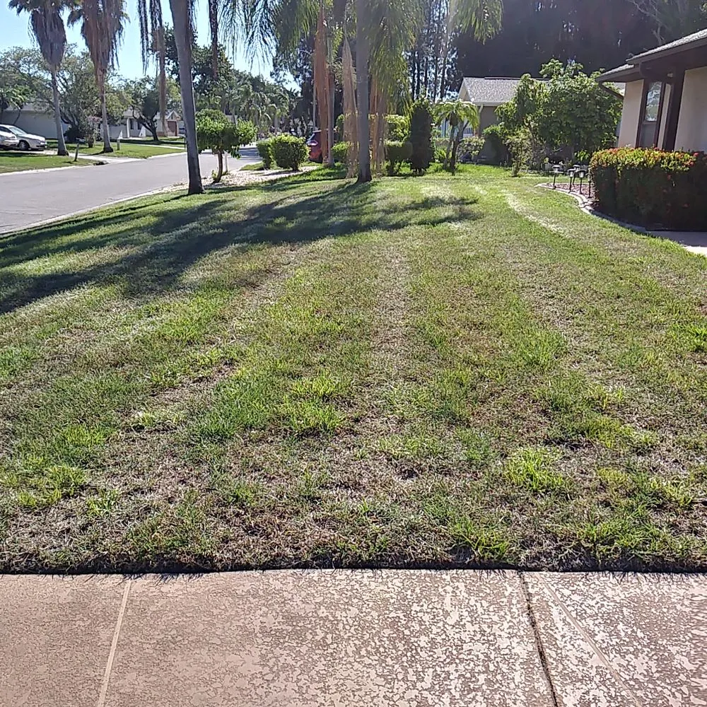 Custom landscape installation in Bradenton, FL - Tony Barrett Lawn and Landscape