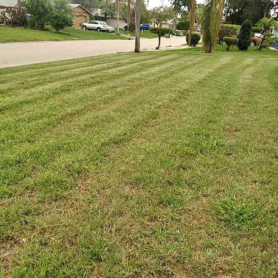 Local yard cleanup service experts serving Bradenton, FL - Tony Barrett Lawn and Landscape