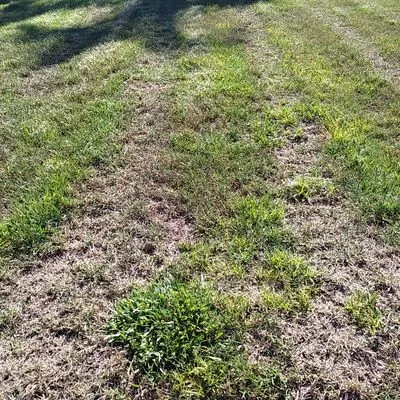 Tony Barrett Lawn and Landscape Logo