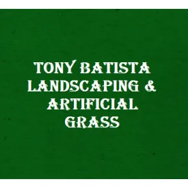 Professional lawn care service experts serving Tempe, AZ - Tony Batista Landscaping & Artificial Grass