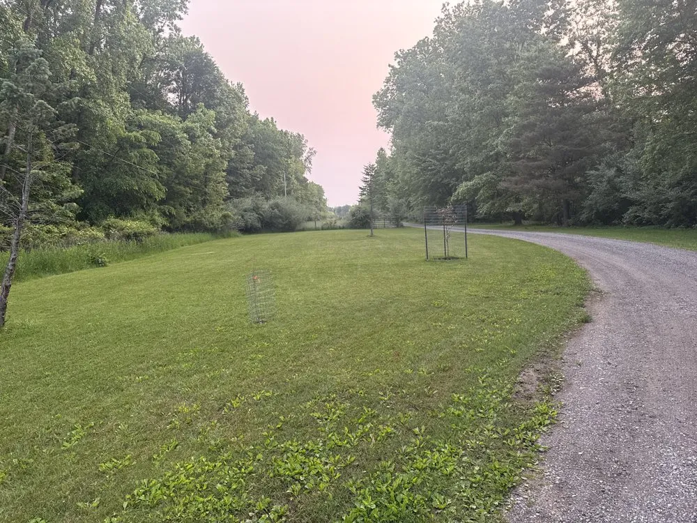 Custom lawn mowing service experts serving Dansville, MI - Tony Brandt Home And Lawn Services