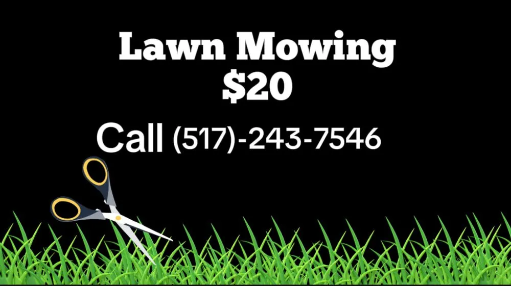 Professional outdoor landscaping in Dansville, MI by Tony Brandt Home And Lawn Services