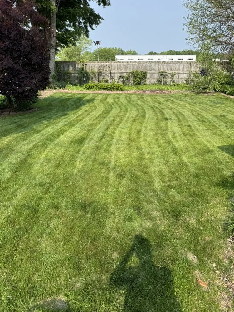 Affordable landscape design in Dansville, MI by Tony Brandt Home And Lawn Services