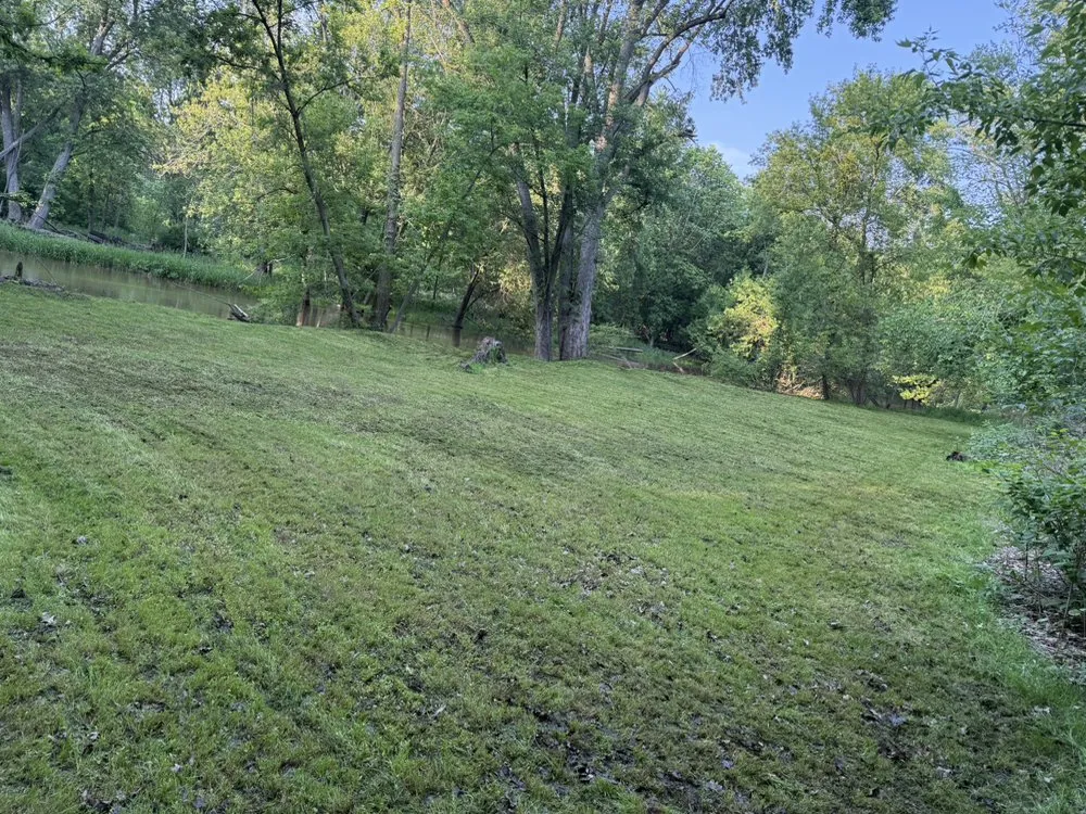 Custom lawn mowing service experts serving Dansville, MI - Tony Brandt Home And Lawn Services