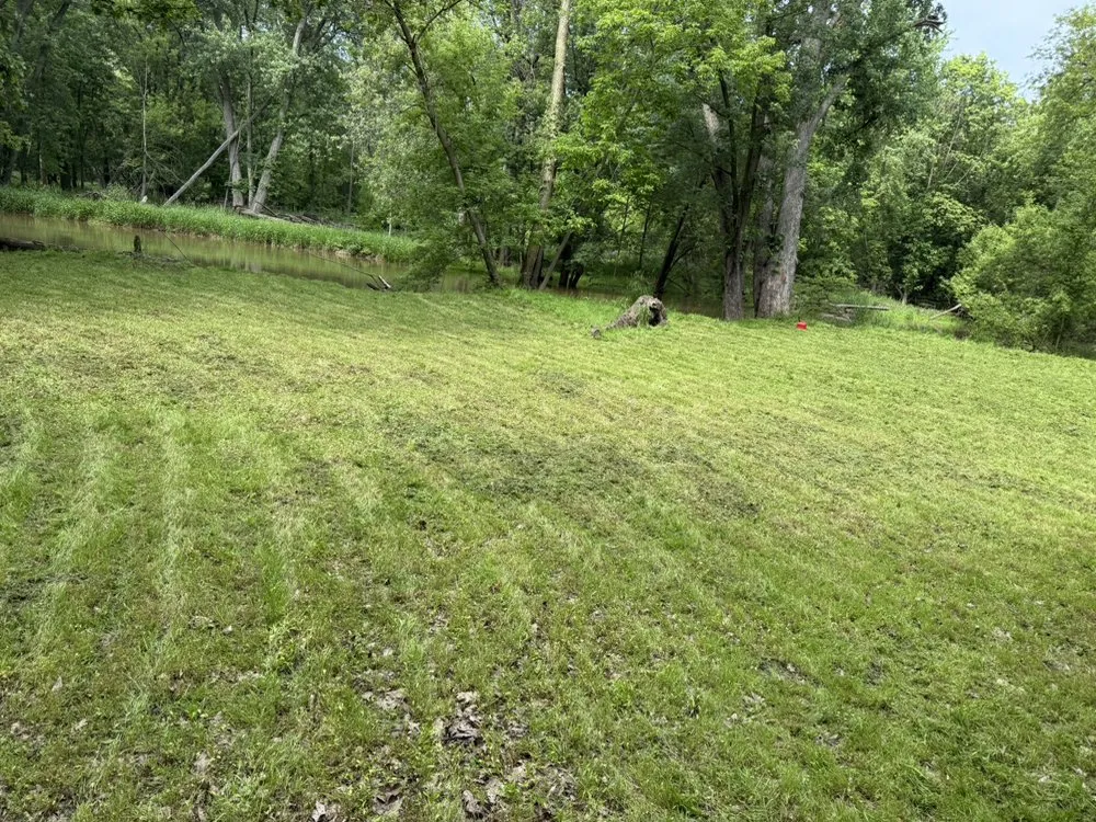 Expert lawn care service in Dansville, MI - Tony Brandt Home And Lawn Services