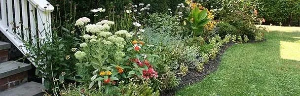 Trusted lawn mowing service experts serving Roslyn, NY - Tony Di Stefano Landscaping