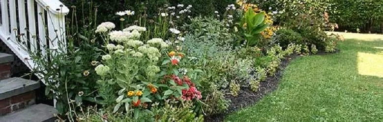 Trusted yard maintenance near you in Roslyn, NY by Tony Di Stefano Landscaping