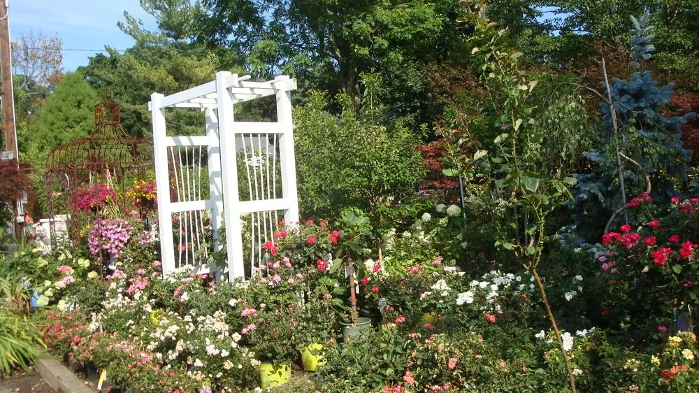 Local residential landscaping in Roslyn, NY - Tony Di Stefano Landscaping