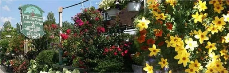 Top-rated residential landscaping in Roslyn, NY by Tony Di Stefano Landscaping