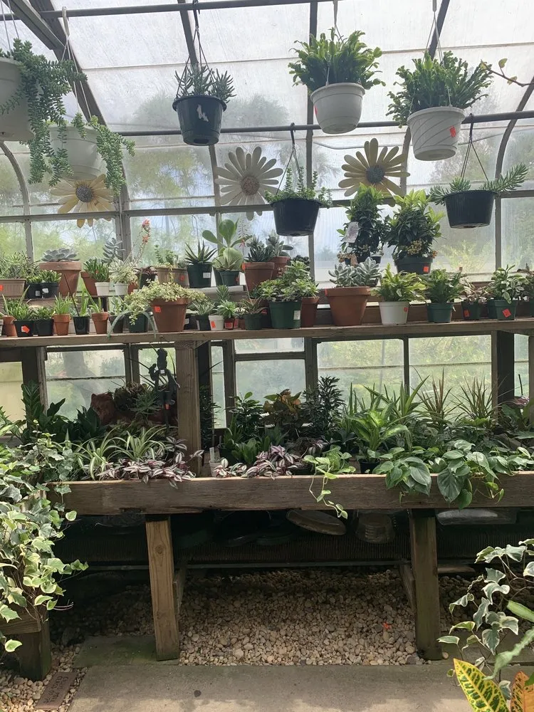 Professional yard cleanup service for outdoor upgrades in Roslyn, NY by Tony Di Stefano Landscaping