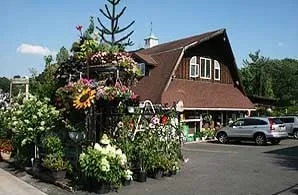 Custom yard cleanup service for beautiful yards in Roslyn, NY by Tony Di Stefano Landscaping