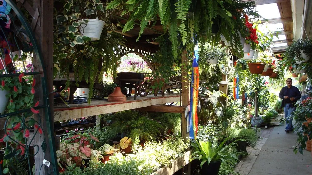 Custom yard cleanup service in Roslyn, NY - Tony Di Stefano Landscaping