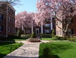 Trusted lawn care service in Tarrytown, NY by Tony Garrido Landscaping and Gardening